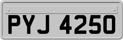 PYJ4250