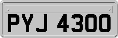 PYJ4300