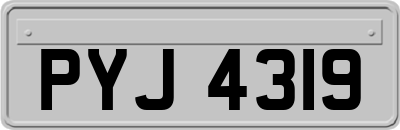 PYJ4319