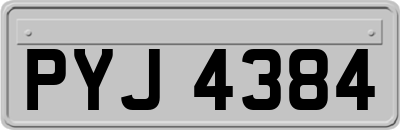 PYJ4384