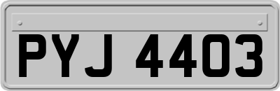 PYJ4403