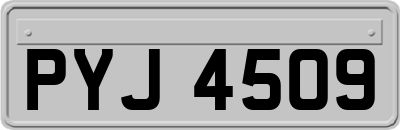 PYJ4509