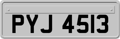 PYJ4513