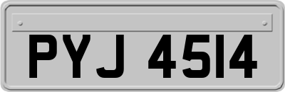 PYJ4514