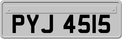 PYJ4515