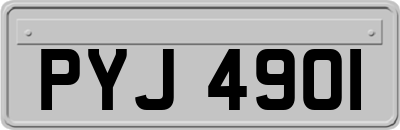 PYJ4901