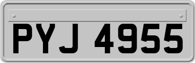 PYJ4955