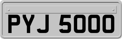 PYJ5000