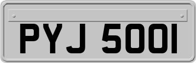 PYJ5001