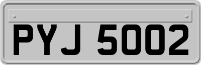 PYJ5002