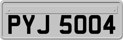 PYJ5004