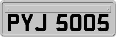 PYJ5005