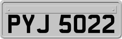 PYJ5022