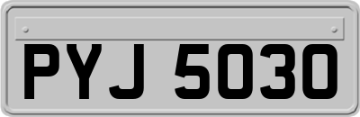 PYJ5030