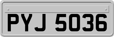 PYJ5036