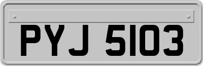 PYJ5103