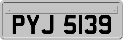 PYJ5139