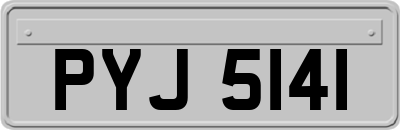 PYJ5141