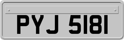 PYJ5181