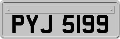 PYJ5199