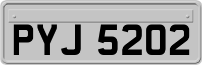 PYJ5202