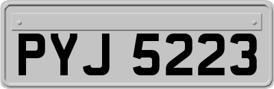 PYJ5223