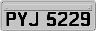 PYJ5229