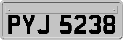 PYJ5238