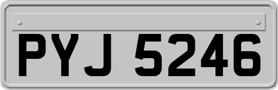 PYJ5246