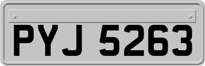 PYJ5263