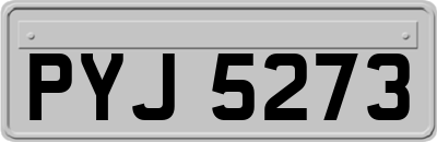 PYJ5273