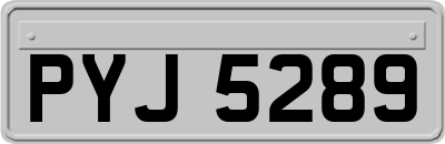 PYJ5289