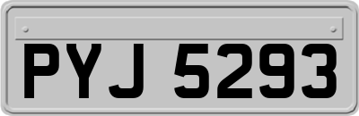 PYJ5293