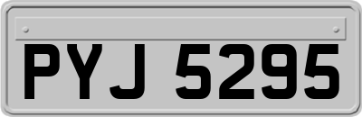 PYJ5295