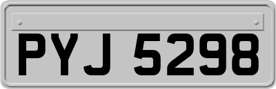 PYJ5298