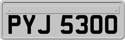 PYJ5300