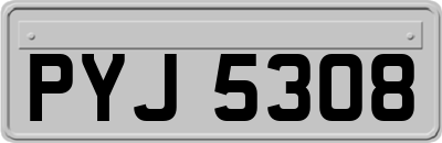 PYJ5308