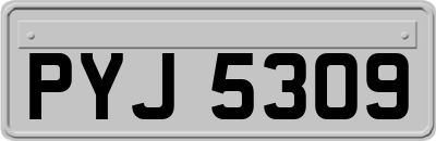 PYJ5309