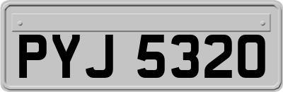 PYJ5320