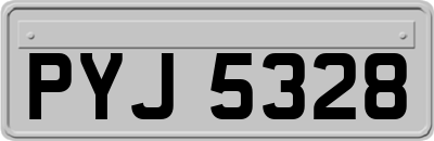 PYJ5328