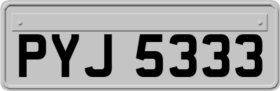 PYJ5333