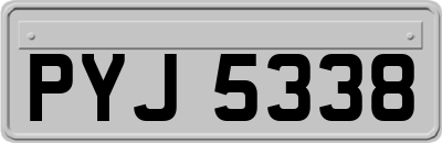 PYJ5338