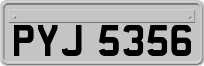 PYJ5356