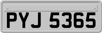 PYJ5365