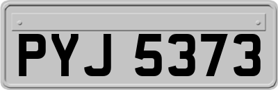 PYJ5373