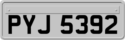 PYJ5392