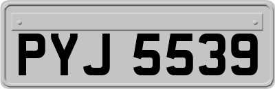 PYJ5539