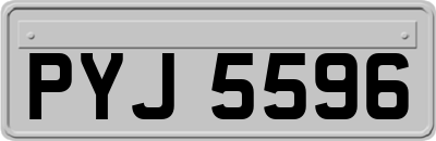 PYJ5596