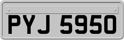 PYJ5950
