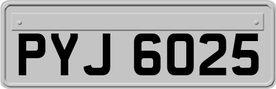 PYJ6025